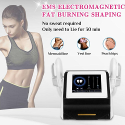 A0248 Super Body Sculptor Ems Body Slimming Fat Loss Machine 