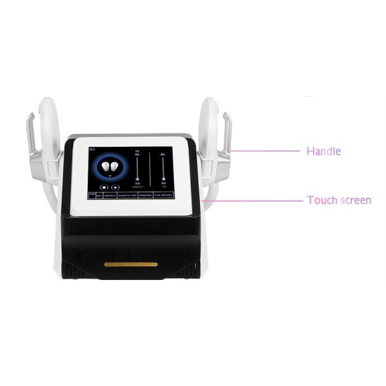 A0248 Super Body Sculptor Ems Body Slimming Fat Loss Machine