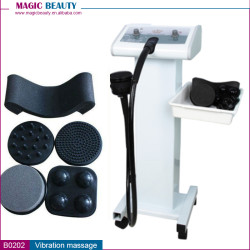B0202 Stand Body to Body Massage Vibrator Machine