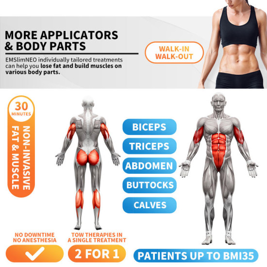 A0238 Newest EMS shaping sculpting Machine Hot Sale Body Contouring Machine Manufacturer for salon slimming machine A0238 Newest EMS shaping sculpting Machine Hot Sale Body Contouring Machine Manufacturer for salon slimming machine