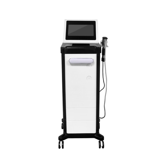 SW26 2023 New Body Vertical Eswt Electromagnetic Shockwave Therapy Machine/ED Therapy