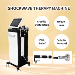 SW26 2023 New Body Vertical Eswt Electromagnetic Shockwave Therapy Machine/ED Therapy